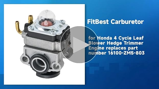 Amazon.com: FitBest GX22 GX31 FG100 Carburetor Kit for Honda