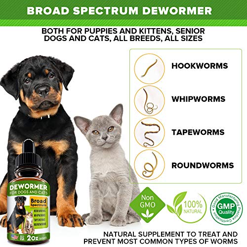 natural hookworm treatment for dogs