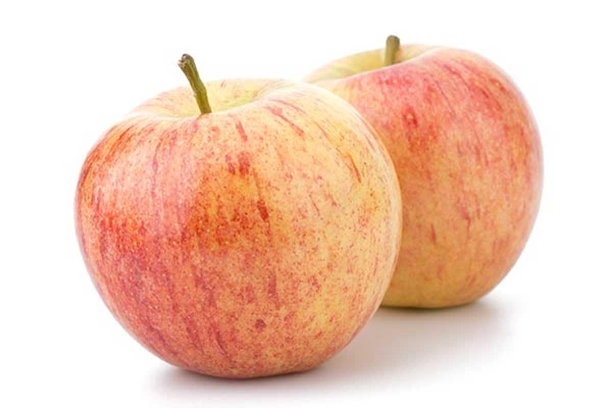 Apple Jazz | 500g (New Zealand)