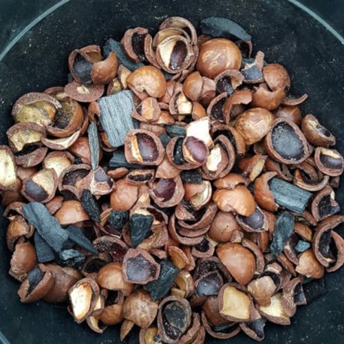 Substrato Casca Macadâmia E Carvão Para Plantas E Orquídeas Orgânico Natural Controle Umidade Ph