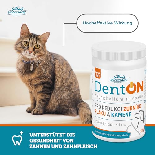 VITAR Veterinae Zahnpflege Hund - Zahnsteinentferner Hund, DentON Dental Pulver für Hunde 50g, Entfernt Plaque, Auch für Katzen geeignet, Mundpflege gegen Mundgeruch, mit der Alge Ascophyllum Nodosum