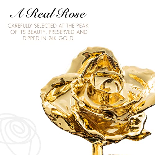 Image of Forever Rose 24K Gold Dipped Real Rose, Acrylic Heart & Gold Box