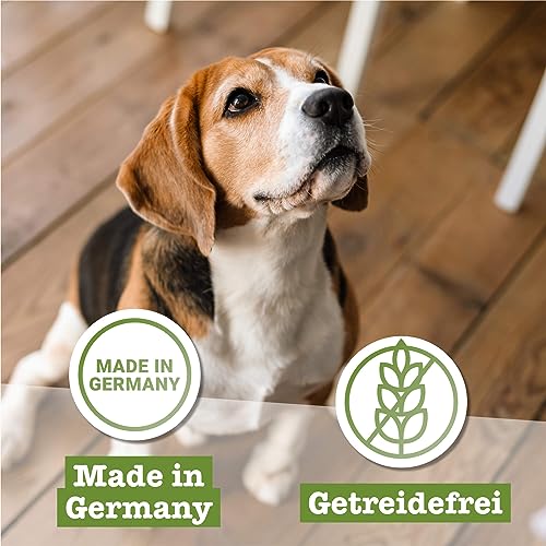 Chewies Fleischstreifen Maxi Hundeleckerli aus 100% Kaninchenfleisch - 150 g - luftgetrocknete Kaninchen Kaustreifen für Hunde - zuckerfrei & getreidefrei - Dörrfleisch vom Kaninchen (Packung mit 2)