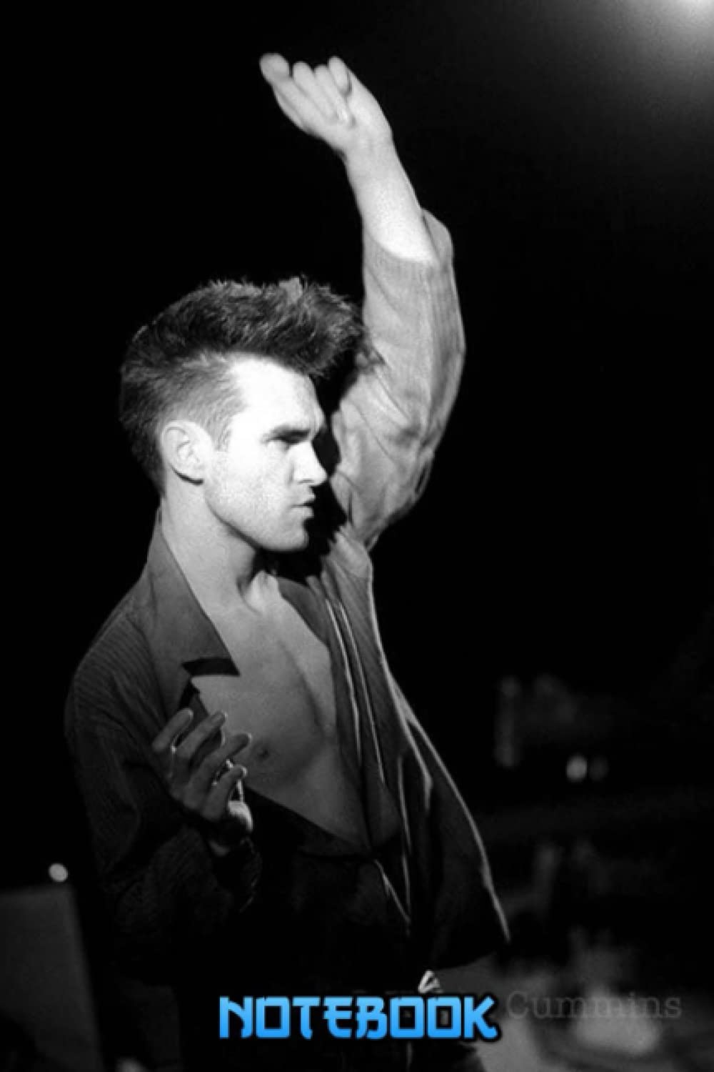 Notebook : Morrissey Notebook Journal Diary For Any Occasion Gifts in Work Office, Home, School, Thankgiving Notebook #391
