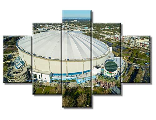 TUMOVO 5 Pieces Wall Art Painting St Petersburg Cityscape in Florida USA Pictures Ballpark Print American Sports Baseball Stadium Canvas Wall Art for Home Decoration Ready to Hang(60" Wx40 H)