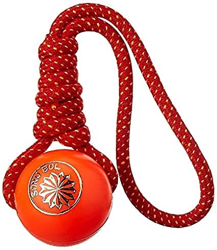 Image of Squeaky, Chew Teether Toys for Dog /Puppy - Flavoured Bone + Plastic Handle Ball + Squeaky Hen Big + Rainbow Ball (S) + Brown Base Ball - Pack of- 5 I Get One Chew Bone Free I (Combo-A)