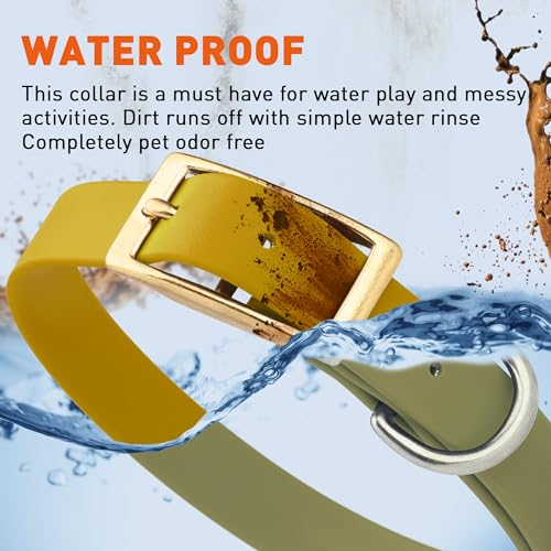 Image of Viper Biothane Heavy Duty Waterproof Dog Collar Strong Coated Nylon Webbing w /Solid Brass Hardware Odor-Proof for Easy Care to Clean High Performance Fits Small Medium or Large Dogs, Treasure Gold