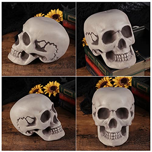ABOOFAN Decoração de caveira de Halloween cabeça de esqueleto humano crânio cabeça de caveira humana