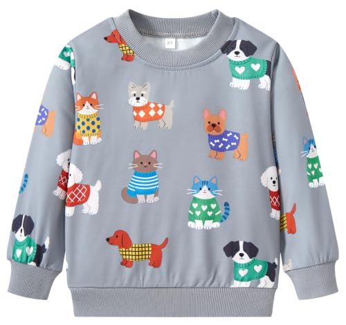 Image of Akyzic Boys Sweatshirts Cotton Long Sleeve Crewneck Pullover Toddler Kids Winter Warm Shirt Sweater Tops 3t-8t