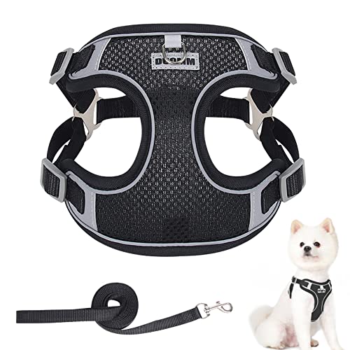 Amazon.co.uk Best Sellers The most popular items in Basic Dog Halter