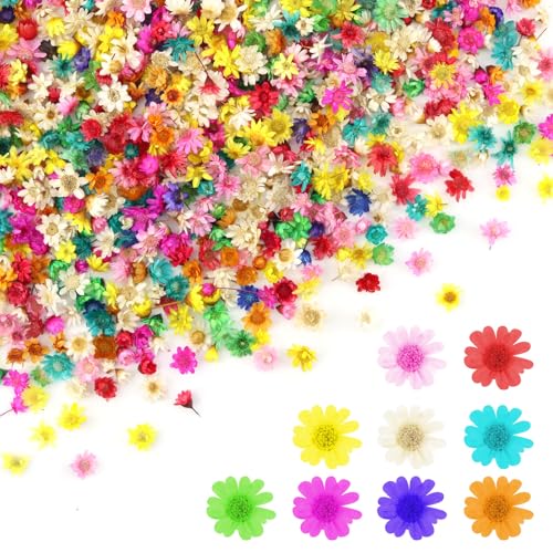 1000 PCS Mini Dried Flowers for Resin Small Dried Flowers for Crafts Mini-Dried Flower Bulk for Resin Art Jewelry Candle Making Soap Making and DIY Crafts