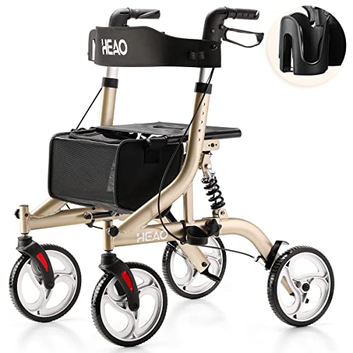 Top 10 Best Rollators For Seniors [Top Picks 2023 Reviews]