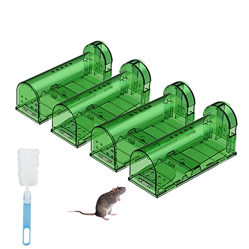 Top 10 Best Product To Kill Mice Reviews & Buying Guide Katynel