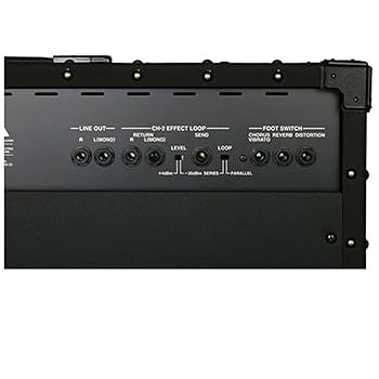 に*こ様 値下　Roland JC-120B Jazz Chorus-120 ギ Amazon.com: Roland JC-120 Jazz Chorus 120 Watt Guitar