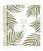 Bloom Daily Planners 2018-2019 Academic Year Hard Cover Vision Planner - Monthly and Weekly Column View Day Planner - (August 2018 - July 2019) - 7.5" x 9" - Palm Leaves