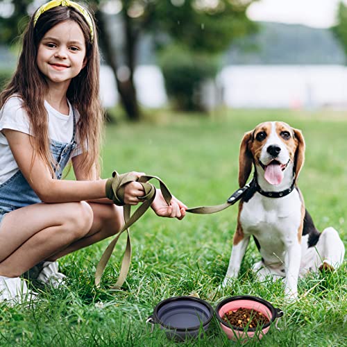 Image of Dog Bowl Pet Collapsible Bowls, 2 Pack Collapsible Dog Water Bowls for Cats Dogs, Portable Pet Feeding Watering Dish for Walking Parking Traveling with 2 Carabiners (Small, Purple+Fairy Pink)