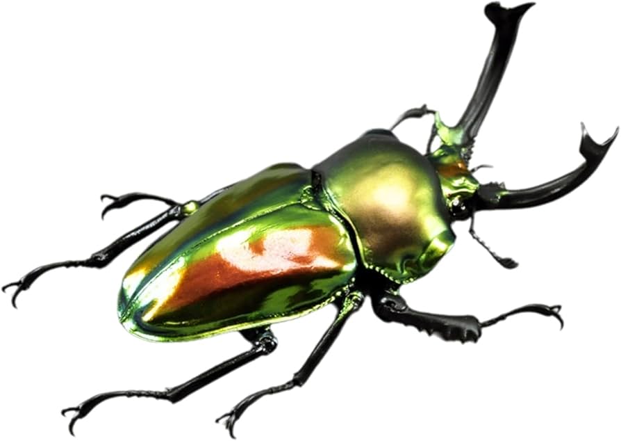 Amazon.co.jp: BACALYSO | 涅槃 ニジイロクワガタ フィギュア Amazon.co.jp: BACALYSO | 涅槃 ニジイロクワガタ フィギュア