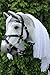 Hobbyhorse with Bridle | Realistic stickhorse | White fleabitten ACE (Stick Length - 13,5 in (35 cm))