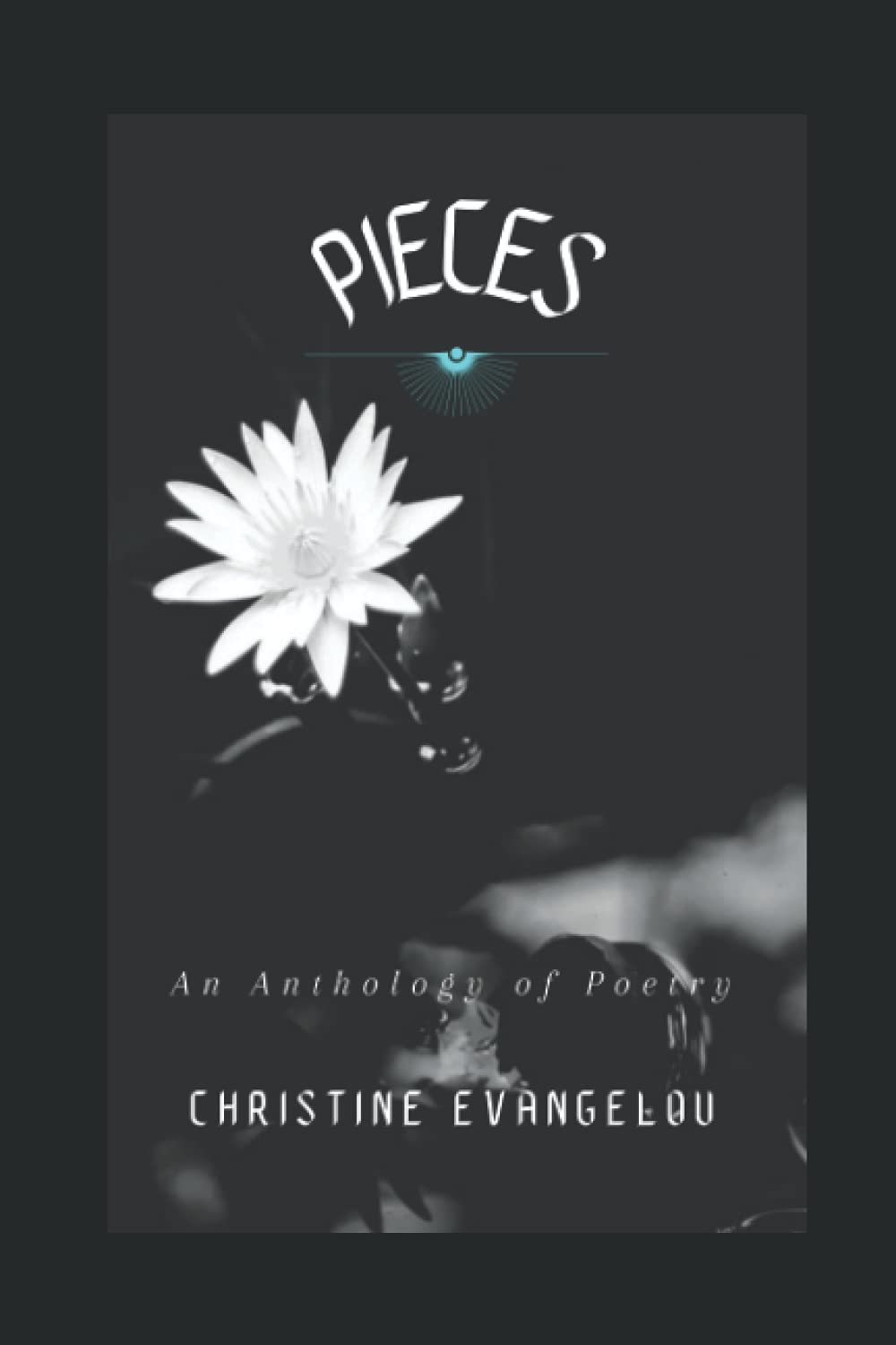 Pieces: A Poetry Anthology: A Collection of Heart-Hitting, Inspirational and Healing Poems