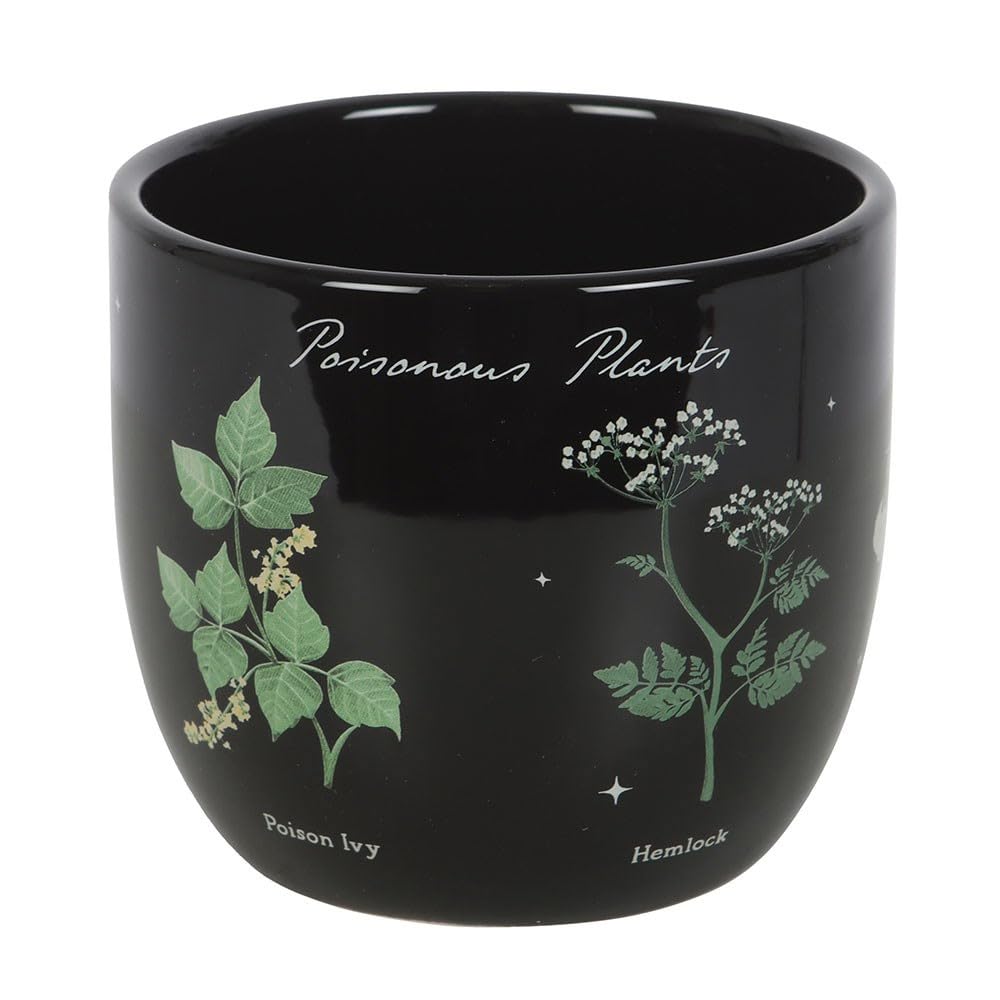 Something Different Wholesale Black Poisonous Plants Ceramic Plant Pot – Gothic Botanical Design – Unique Indoor Planter – Decorative Home Décor For Greenery – Gift For Nature & Gothic Enthusiasts