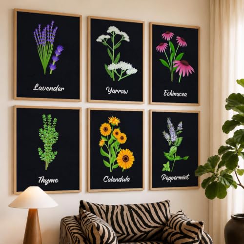 Image of kotart Boho Theme Digital Painting for Wall Decoration - Minimal Wall Art Prints for Living Room Bedroom Office Room Decor (10x13 inch, Terracotta) (wall painting, 01) (E, 19X25 INCH)