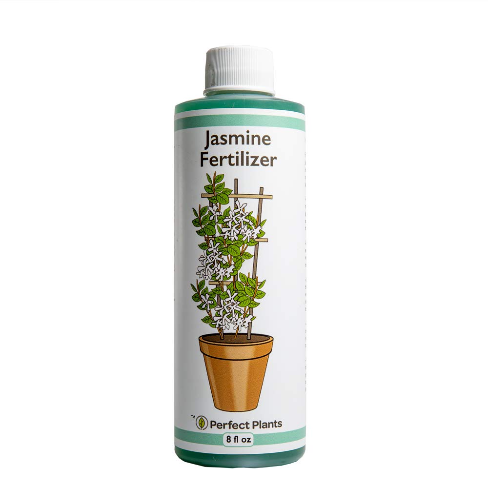 PERFECT PLANTS Best 87 Products