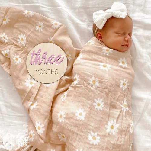 Image of Baby Monthly Milestone Markers Disc, Wooden 3D Milestone Cards for Photos, Baby Announcement Sign, 1-12 Months, wooden baby milestone sign (Pink)
