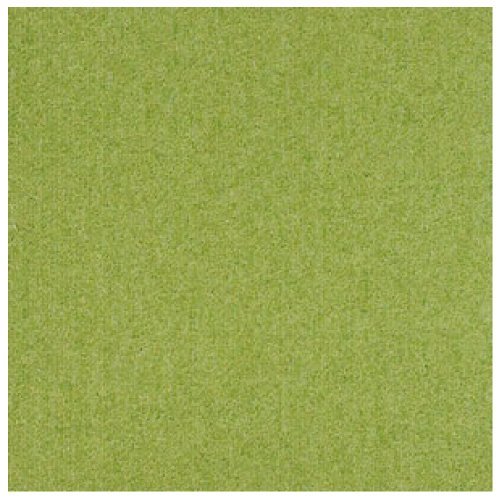 �^�C���J�[�y�b�g �T���Q�c NT-350 �V���[�Y 50cm×50cm 20���Z�b�g (NT-348)