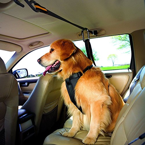 Kurgo Auto Zip Line - Backseat Zipline Harness for Car Travel - Dog Car Accessory for Safe Rides - Adjustable Pet Tether - Durable Nylon Zipline Leash Travel System - Image 3