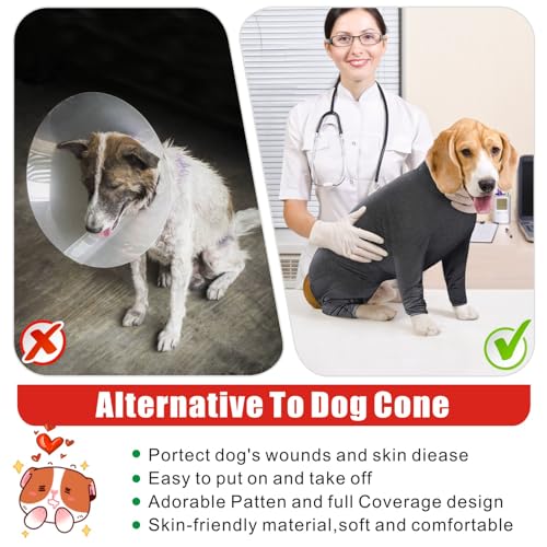 Combinaison de récupération pour grand chien après chirurgie