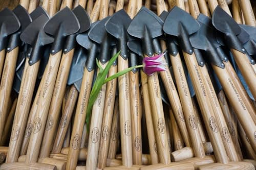 Tierra Garden DeWit Perennial Planter miniatura 5
