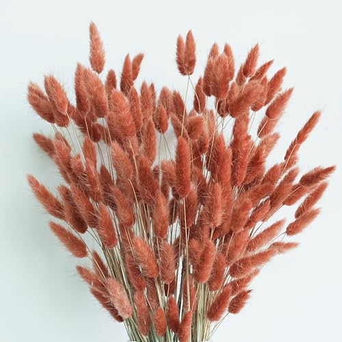 120 PCS Rust Orange Dried Pampas Grass Decor, 17-inch Pompas Floral, Dry Flowers for Decoration, Pampas Grass in all, Bunny Tails Dried Flowers for Boho Wedding Decor
