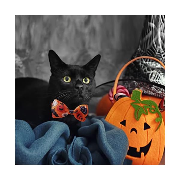 2 pack halloween cat collar with bow tie and bell, holiday pumpkin candy corn collar for kitty kitten girls and boys cats - image 7