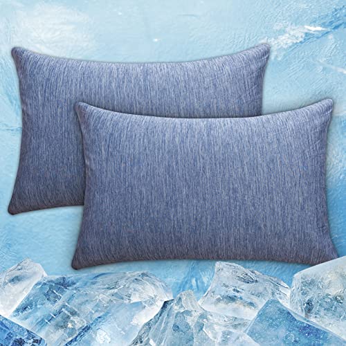 CHOSHOME 2er Kissenbezüge 40x80cm,Kühlender Kissenbezüge für Heiße Schläfer mit Verdecktem Reißverschluss,Kühle Kissenbezüge,Atmungsaktiv für Haare und Haut mit Arc-Chill-Kühlfaser (Blau) Cover