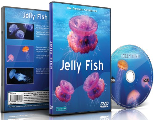 Quallen DVD
