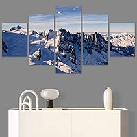 SIGNWIN 5 Panel Canvas Wall Art Modern Art Aerial Contemporary Cool Dramatic Multicolor Nature Photography Snow for Home Decorations Ready to Hang - 60
