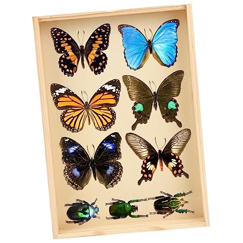 ULTECHNOVO 3D Shadow Box Frame, 32x23cm Display Box Photo Frames - Image 3