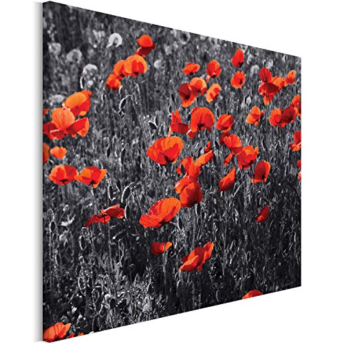 Revolio 40x30 cm Impression sur Toile Murale Tableau Art Peinture Image Motif Moderne Décoration pour Le Salon Intérieur Photo - la Nature Coquelicots clairičre Rouge Gris Cover