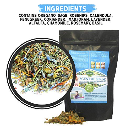 Nesting Herbs For Backyard Chickens 8 Pounds - Scent Of Spring - Keep Laying Hens Happy, Healthy And Relaxed #TOP6