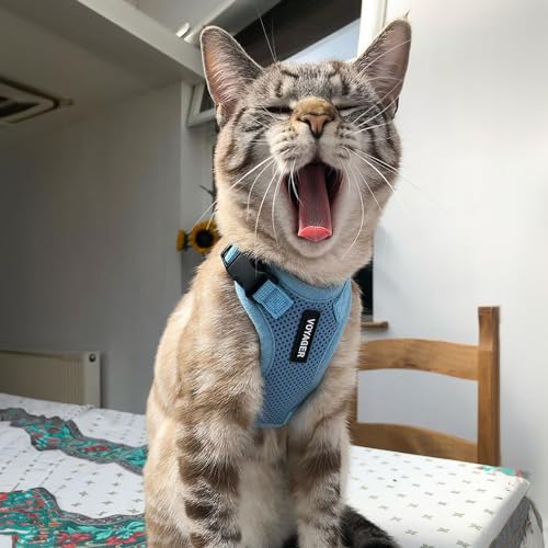 Image of Voyager Escape-Proof Step-in Lock Cat Harness & 5ft Neoprene-Handle Leash Set All-Weather Mesh with Reflective Stitching for Small to Large Cats by Best Pet Supplies, Baby Blue, XXS