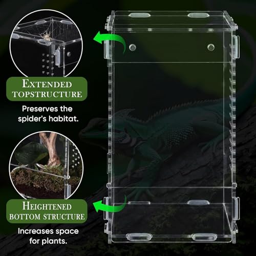 Terrarium araignée sauteuse sans risque de fuite avec vue frontale - 5