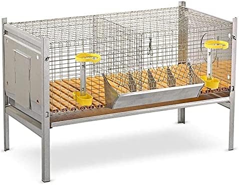 rabbit breeding hutches