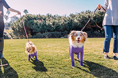 Image of shed Defender Purple pet mini