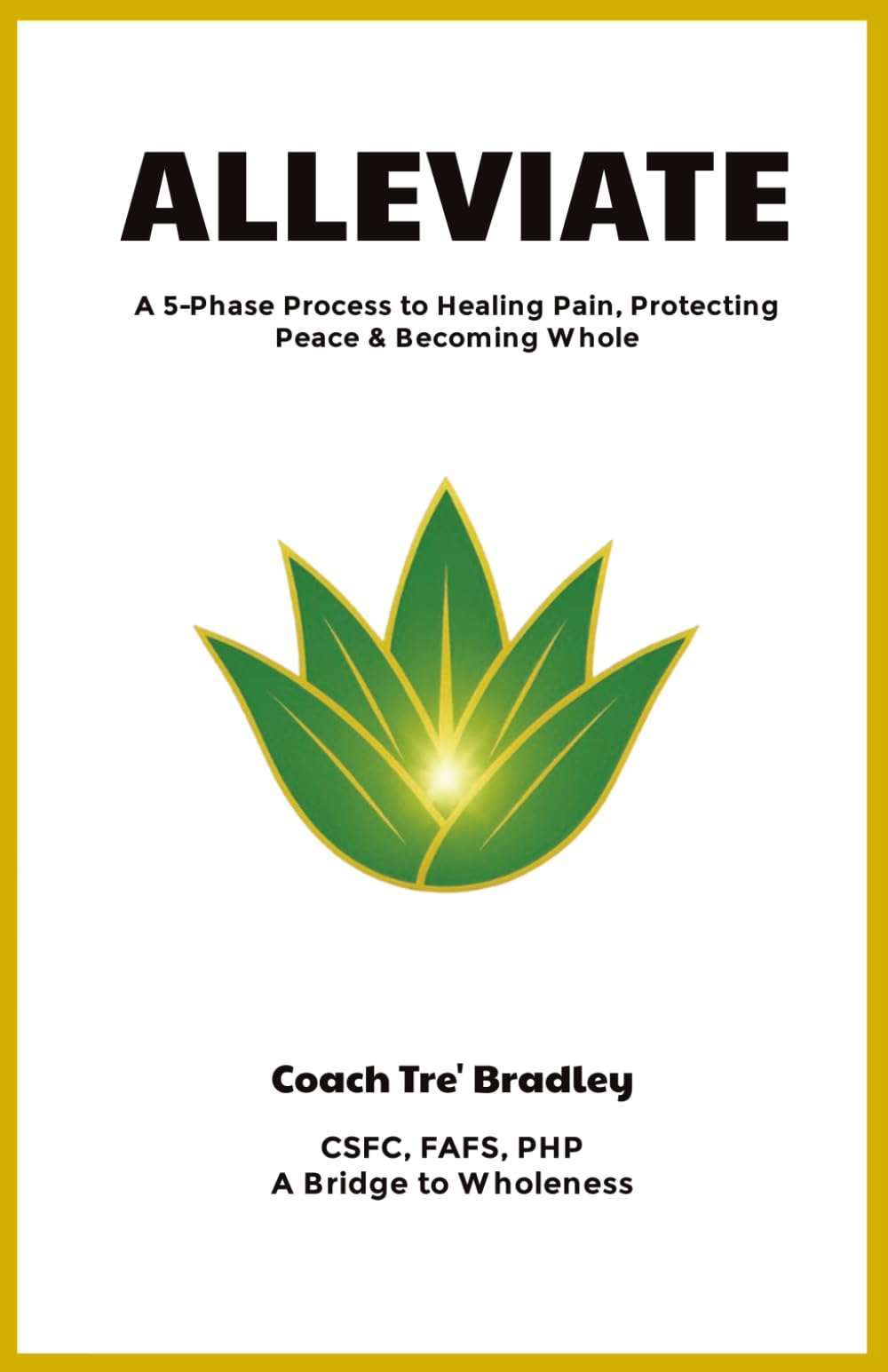 ALLEVIATE: A 5-Phase Process to Healing Pain, Protecting Peace & Becoming Whole