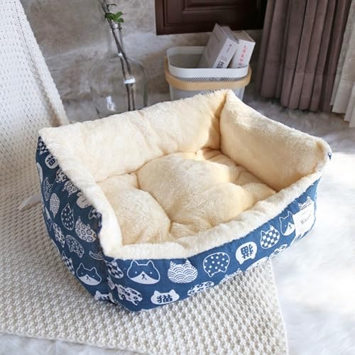 kybg }bg P[Wp L xbh Ȃ Rt RŌŒł ӂӂ  o[Vu _炩 􂦂  NbV zc 藎h~ ʔN (lCr[,M)