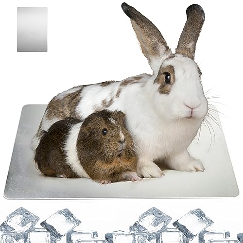 Sporgo Kühlmatte Für Kleintiere - 30x20cm Alu-Kühlkissen Für Hamster & Kaninchen | Sommer-Eisbett