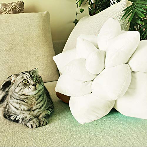 Abound Lifestyle Succulent Pillow, Cute Throw Pillows, Cactus Pillow, Plant Pillow, Plant Shaped Pillow, Leaf Shaped Pillow, Flower Shaped Pillow, Succulent Plush, Cactus Plush, Home Décor #TOP22