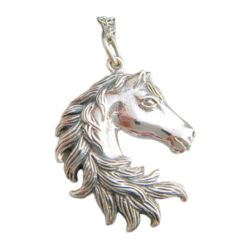 Collana con testa di cavallo in argento sterling 925, piccola criniera, orgoglio equestre, ciondolo realistico, regalo per amanti degli animali, semplice gioiello equino | con catena da 18 pollici