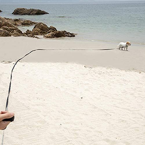Eyeleaf Guinzaglio Addestramento per Cani 15 Metri...