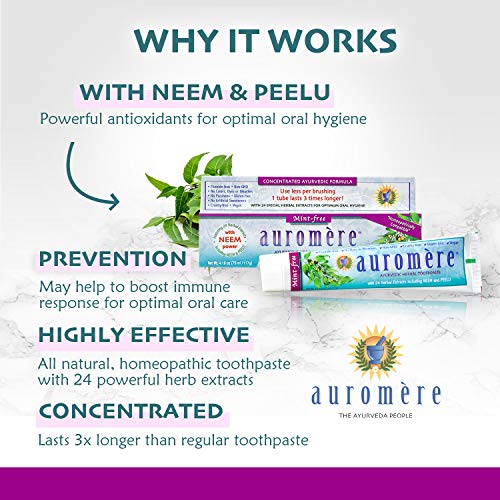 Auromere Ayurvedic Herbal Toothpaste, Mint Free - Vegan, Natural, Non Gmo, Fluoride Free, Gluten Free, With Neem & Peelu (4.16 Oz), 1 Pack #TOP1